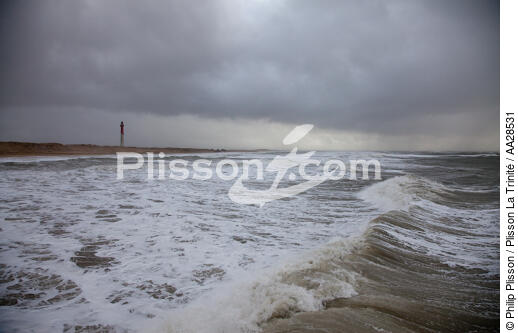 La Coubre beach - © Philip Plisson / Plisson La Trinité / AA28531 - Photo Galleries - Stormy sky