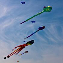 International Meetings of kites in Berck sur Mer [AT] © Philip Plisson / Plisson La Trinité / AA28579 - Photo Galleries - Pas de Calais