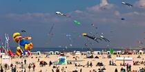 International Meetings of kites in Berck sur Mer [AT] © Philip Plisson / Plisson La Trinité / AA28582 - Photo Galleries - Kite