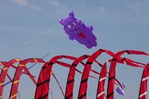 International Meetings of kites in Berck sur Mer [AT] © Philip Plisson / Plisson La Trinité / AA28611 - Photo Galleries - Kite