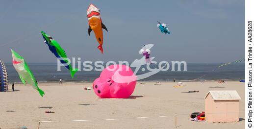 International Meetings of kites in Berck sur Mer [AT] - © Philip Plisson / Plisson La Trinité / AA28628 - Photo Galleries - Pas de Calais