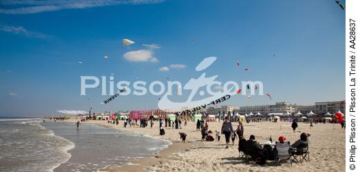 International Meetings of kites in Berck sur Mer [AT] - © Philip Plisson / Plisson La Trinité / AA28637 - Photo Galleries - Nord-Pas-de-Calais