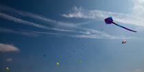 International Meetings of kites in Berck sur Mer [AT] © Philip Plisson / Plisson La Trinité / AA28639 - Photo Galleries - Town [62]