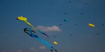 International Meetings of kites in Berck sur Mer [AT] © Philip Plisson / Plisson La Trinité / AA28643 - Photo Galleries - Pas de Calais