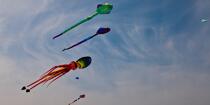 International Meetings of kites in Berck sur Mer [AT] © Philip Plisson / Plisson La Trinité / AA28657 - Photo Galleries - Nord-Pas-de-Calais