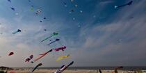 International Meetings of kites in Berck sur Mer [AT] © Philip Plisson / Plisson La Trinité / AA28662 - Photo Galleries - International Meeting of Kite in Berck-sur-Mer.