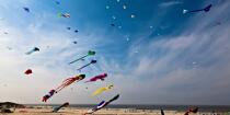International Meetings of kites in Berck sur Mer [AT] © Philip Plisson / Plisson La Trinité / AA28663 - Photo Galleries - International Meeting of Kite in Berck-sur-Mer.