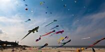 International Meetings of kites in Berck sur Mer [AT] © Philip Plisson / Plisson La Trinité / AA28666 - Photo Galleries - International Meeting of Kite in Berck-sur-Mer.