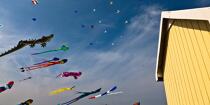 International Meetings of kites in Berck sur Mer [AT] © Philip Plisson / Plisson La Trinité / AA28667 - Photo Galleries - Nord-Pas-de-Calais