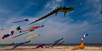 International Meetings of kites in Berck sur Mer [AT] © Philip Plisson / Plisson La Trinité / AA28670 - Photo Galleries - Pas de Calais