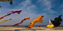 International Meetings of kites in Berck sur Mer [AT] © Philip Plisson / Plisson La Trinité / AA28679 - Photo Galleries - Sport and Leisure