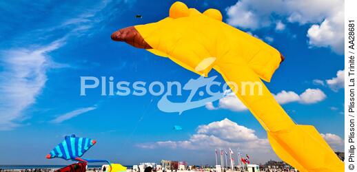 International Meetings of kites in Berck sur Mer [AT] - © Philip Plisson / Plisson La Trinité / AA28681 - Photo Galleries - Nord-Pas-de-Calais