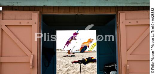 Rencontres Internationales de cerfs-volants à Berck sur Mer - © Philip Plisson / Plisson La Trinité / AA28682 - Nos reportages photos - Pas de Calais