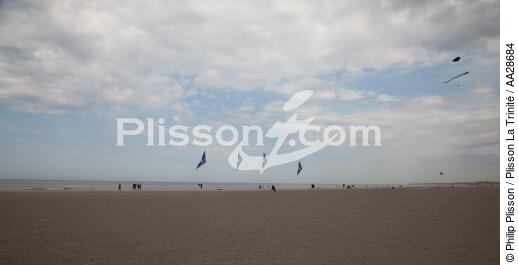 Rencontres Internationales de cerfs-volants à Berck sur Mer - © Philip Plisson / Plisson La Trinité / AA28684 - Nos reportages photos - Pas de Calais
