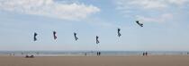 International Meetings of kites in Berck sur Mer [AT] © Philip Plisson / Plisson La Trinité / AA28690 - Photo Galleries - Kite