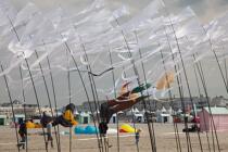 International Meetings of kites in Berck sur Mer [AT] © Philip Plisson / Plisson La Trinité / AA28693 - Photo Galleries - Kite