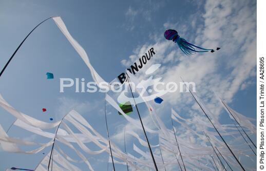 International Meetings of kites in Berck sur Mer [AT] - © Philip Plisson / Plisson La Trinité / AA28695 - Photo Galleries - Berck