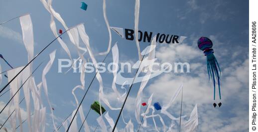 International Meetings of kites in Berck sur Mer [AT] - © Philip Plisson / Plisson La Trinité / AA28696 - Photo Galleries - International Meeting of Kite in Berck-sur-Mer.