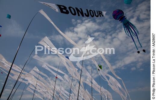 International Meetings of kites in Berck sur Mer [AT] - © Philip Plisson / Plisson La Trinité / AA28697 - Photo Galleries - Town [62]