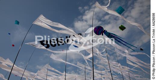 International Meetings of kites in Berck sur Mer [AT] - © Philip Plisson / Plisson La Trinité / AA28698 - Photo Galleries - Town [62]