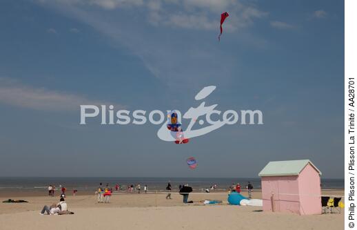 International Meetings of kites in Berck sur Mer [AT] - © Philip Plisson / Plisson La Trinité / AA28701 - Photo Galleries - Berck