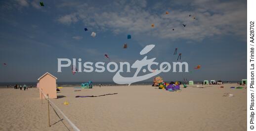 International Meetings of kites in Berck sur Mer [AT] - © Philip Plisson / Plisson La Trinité / AA28702 - Photo Galleries - Kite