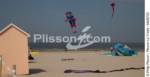 International Meetings of kites in Berck sur Mer [AT] - © Philip Plisson / Plisson La Trinité / AA28703 - Photo Galleries - Kite