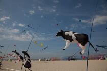 International Meetings of kites in Berck sur Mer [AT] © Philip Plisson / Plisson La Trinité / AA28704 - Photo Galleries - Pas de Calais