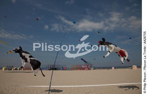 International Meetings of kites in Berck sur Mer [AT] - © Philip Plisson / Plisson La Trinité / AA28705 - Photo Galleries - Kite