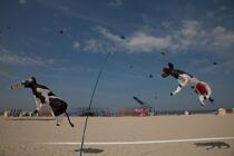 International Meetings of kites in Berck sur Mer [AT] © Philip Plisson / Plisson La Trinité / AA28705 - Photo Galleries - Pas de Calais