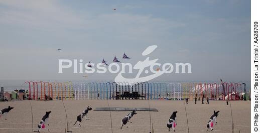 International Meetings of kites in Berck sur Mer [AT] - © Philip Plisson / Plisson La Trinité / AA28709 - Photo Galleries - Nord-Pas-de-Calais