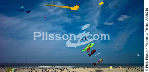 International Meetings of kites in Berck sur Mer [AT] - © Philip Plisson / Plisson La Trinité / AA28710 - Photo Galleries - Berck
