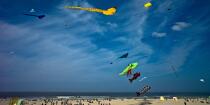 International Meetings of kites in Berck sur Mer [AT] © Philip Plisson / Plisson La Trinité / AA28710 - Photo Galleries - Town [62]