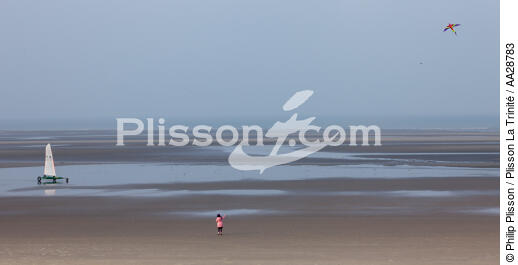 Sur la plage au Touquet - © Philip Plisson / Plisson La Trinité / AA28783 - Nos reportages photos - Cerf-volant