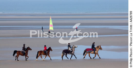 Sur la plage au Touquet - © Philip Plisson / Plisson La Trinité / AA28789 - Nos reportages photos - Cheval