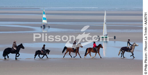 Sur la plage au Touquet - © Philip Plisson / Plisson La Trinité / AA28791 - Nos reportages photos - Cheval