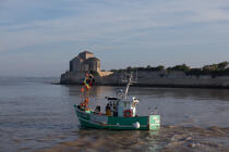 Talmont-sur-Gironde © Philip Plisson / Plisson La Trinité / AA28800 - Nos reportages photos - Bateau de pêche