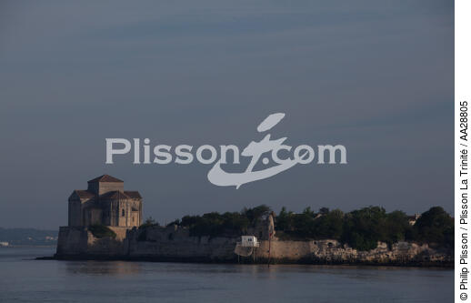 Talmont-sur-Gironde - © Philip Plisson / Plisson La Trinité / AA28805 - Nos reportages photos - Talmont-sur-Gironde