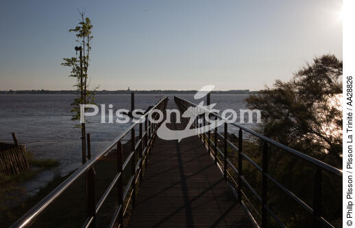 Ile de Patiras - © Philip Plisson / Plisson La Trinité / AA28826 - Nos reportages photos - Passerelle