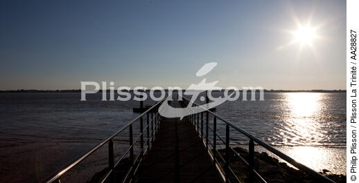 Ile de Patiras - © Philip Plisson / Plisson La Trinité / AA28827 - Nos reportages photos - Passerelle