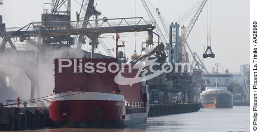 Port of Bordeaux,Bassens terminal - © Philip Plisson / Plisson La Trinité / AA28989 - Photo Galleries - Crane