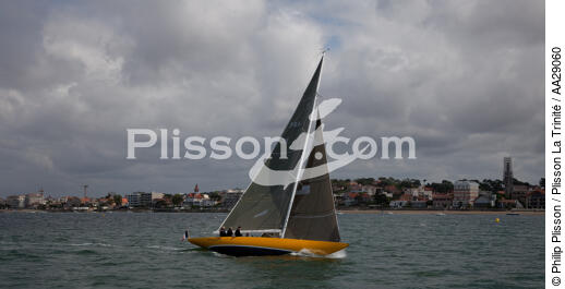 Arcachon - © Philip Plisson / Plisson La Trinité / AA29060 - Photo Galleries - Racing monohull