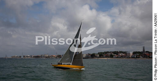 Arcachon - © Philip Plisson / Plisson La Trinité / AA29061 - Photo Galleries - Racing monohull