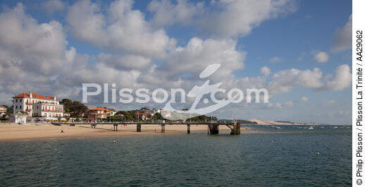 Arcachon - © Philip Plisson / Plisson La Trinité / AA29062 - Nos reportages photos - Gironde