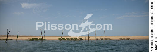 The Arguin sand banc - © Philip Plisson / Plisson La Trinité / AA29113 - Photo Galleries - Oyster farming