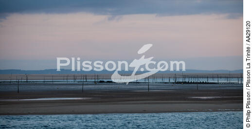 The Arguin sand banc - © Philip Plisson / Plisson La Trinité / AA29120 - Photo Galleries - From Soulac to Capbreton