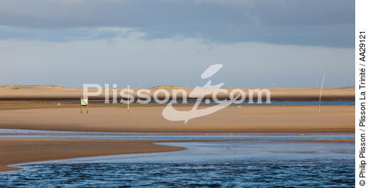 The Arguin sand banc - © Philip Plisson / Plisson La Trinité / AA29121 - Photo Galleries - Arguin Sand Bank [The]