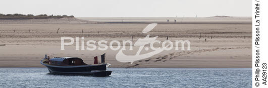The Arguin sand banc - © Philip Plisson / Plisson La Trinité / AA29123 - Photo Galleries - Motorboating