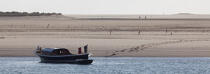 The Arguin sand banc © Philip Plisson / Plisson La Trinité / AA29123 - Photo Galleries - Motorboating