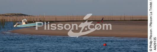 The Arguin sand banc - © Philip Plisson / Plisson La Trinité / AA29135 - Photo Galleries - From Soulac to Capbreton